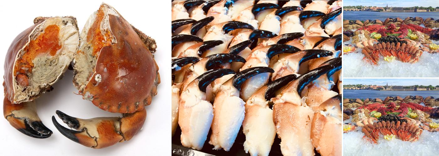 The Berwick Shellfish Co.