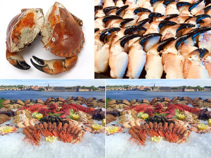 The Berwick Shellfish Co.