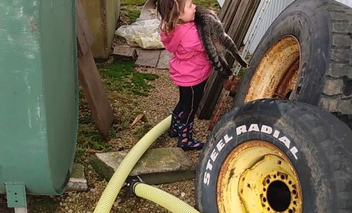 FUEL 24 Spring Green