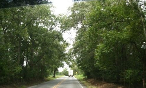 T & J's Country Store