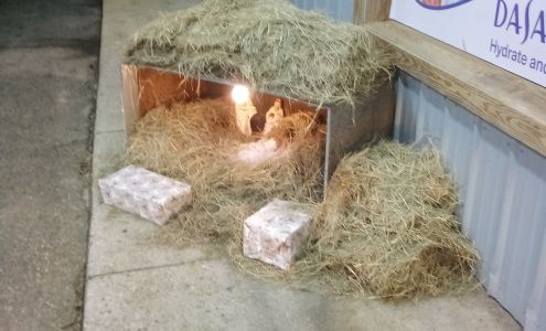 MAGNOLIA SPEEDWAY Magnolia Springs