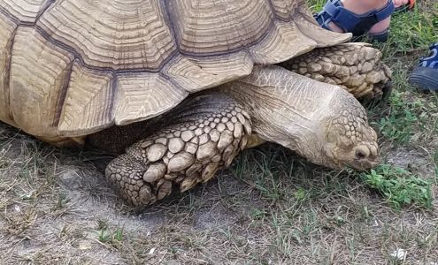 marathon minuteman food mart Supply