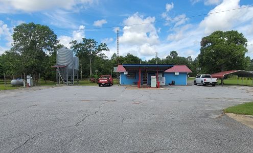 Little Juniper Junction Box Springs