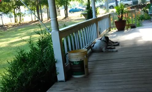 Careys Convenience Store Bowman