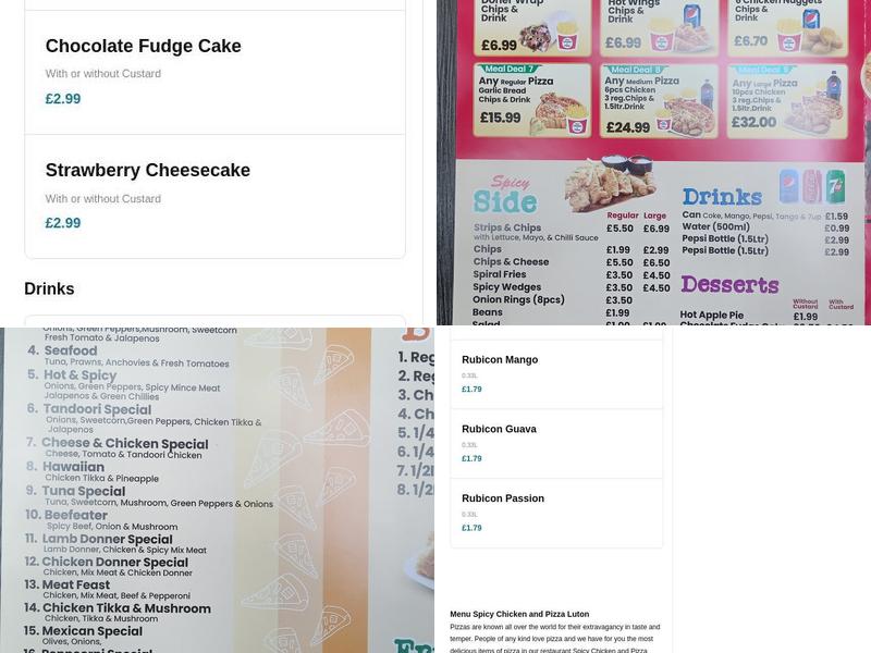 Spicy Chicken and Pizza Menu