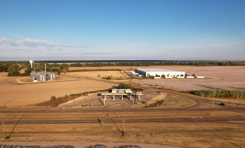 Shell Lake Cormorant