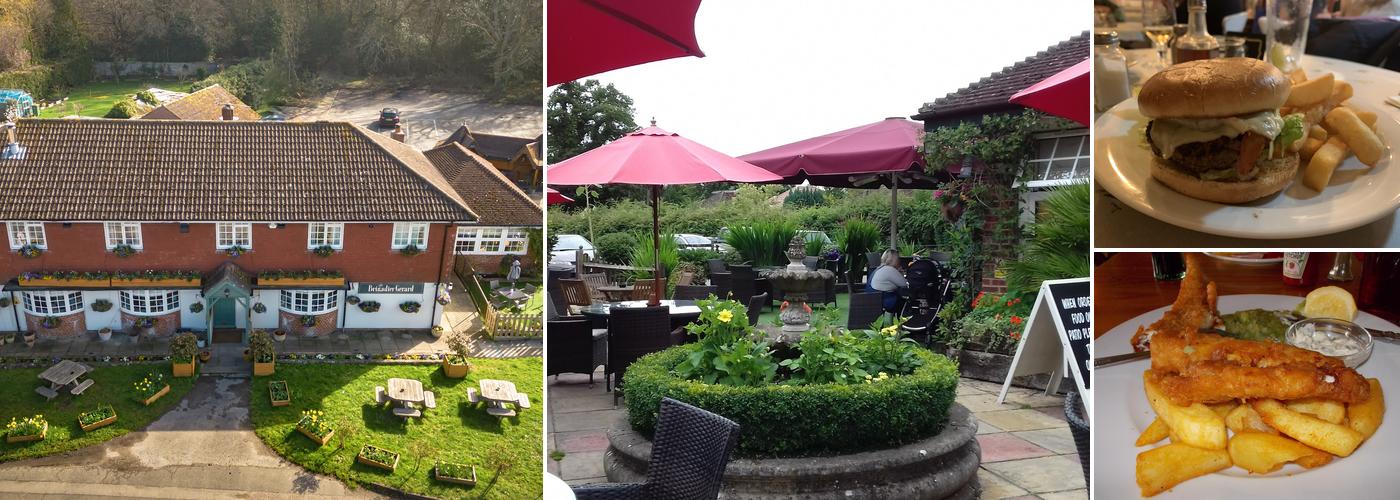 The Brigadier Gerard