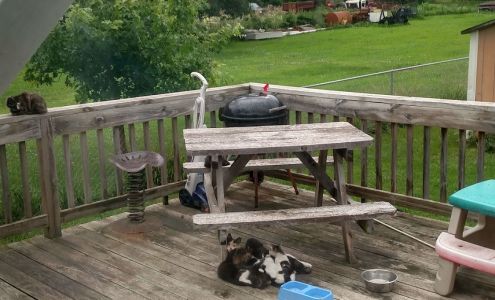 Seider One Stop Rockville