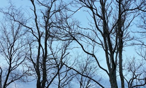 Stallman's Service Station Glasgow