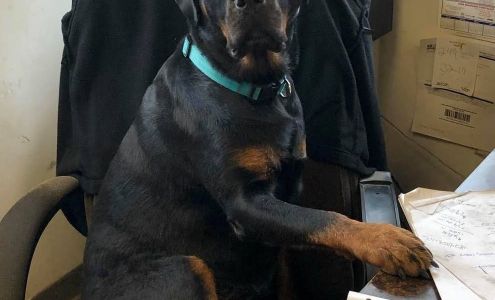 J's Auto & Truck Repair Greenville