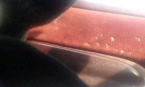 Collins Service Station Lambert