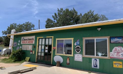 BUDDI GAS AND MINIMART Young