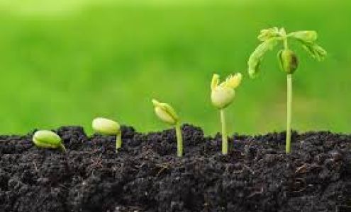 Babb Agri-Sales Penfield