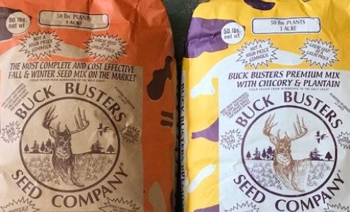 Maysville 4 Way Stop