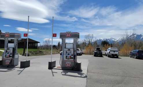 Dornans Gas Station Moose