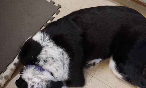 Fairview Grocery Devils Lake