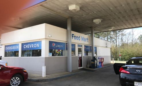 Chevron Evergreen Evergreen