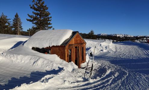 Bear Valley Cross Country Bear Valley