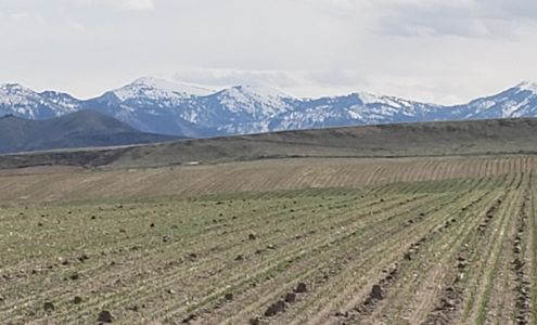 Vista Valley Ag Ririe