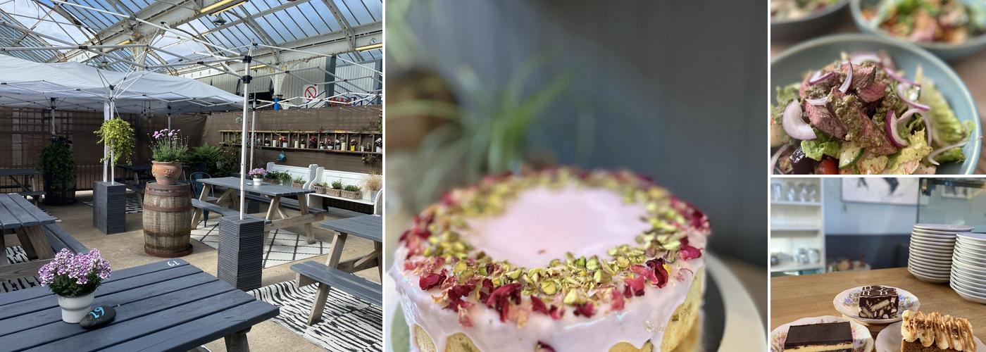 Dil and The Bear at the Station