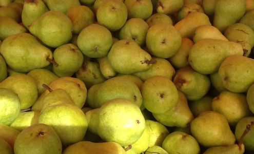 Grandma Mary's Fruit & Produce Hood River