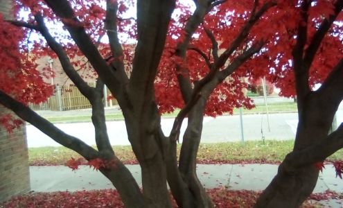 Hakeem Niser LLC Warren