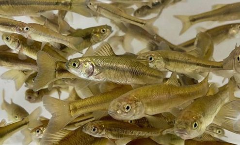 Tim's Convenience Store Wadesboro