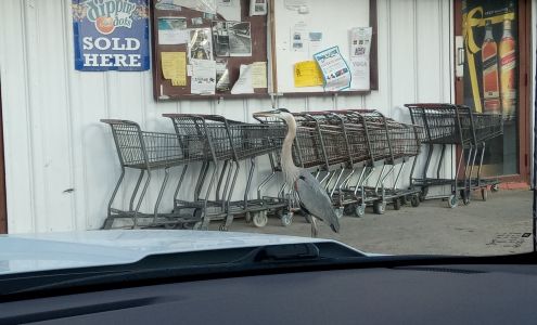 Ship & Shore Supplies Inc