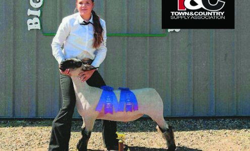 Town and Country Supply