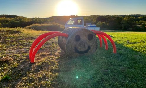 Mary's Market South Bloomsdale