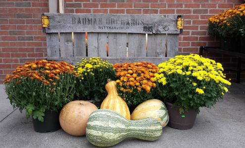 Mako's Market Uhrichsville