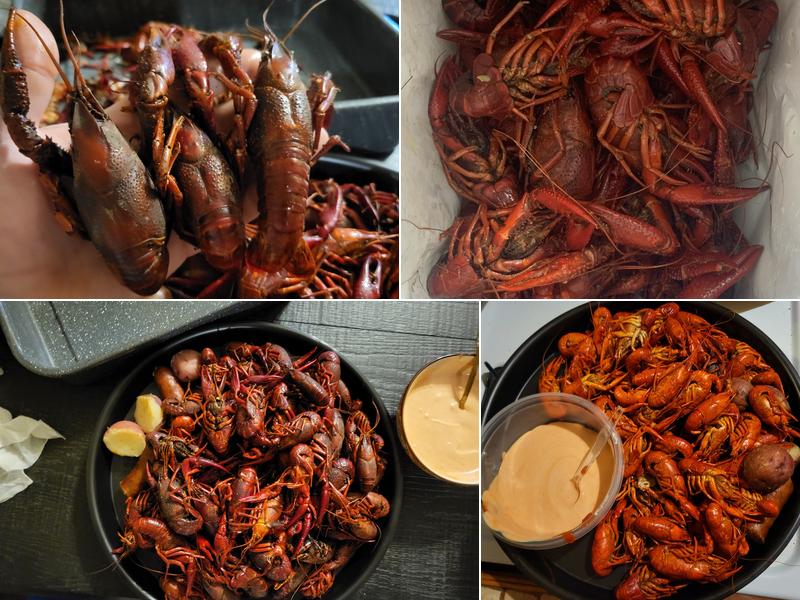 Snack N'Go 1503 S Lewis St, New Iberia