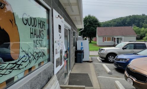 Good Hope Hawks Nest