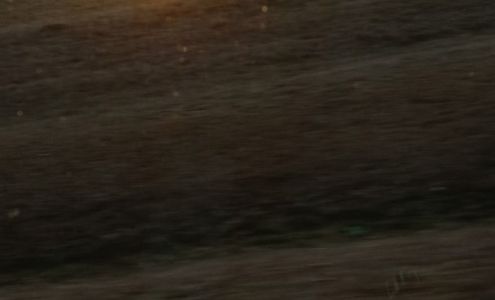 Delta General Store Delta