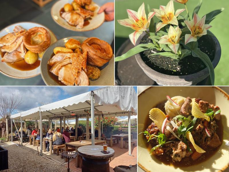 The Gloucester Old Spot