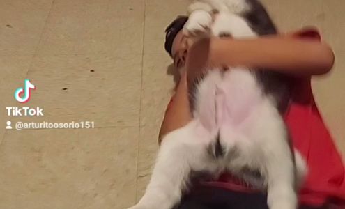 Coastal Mart Bridgeton