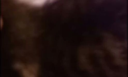 Hollow Rock Convenience Store