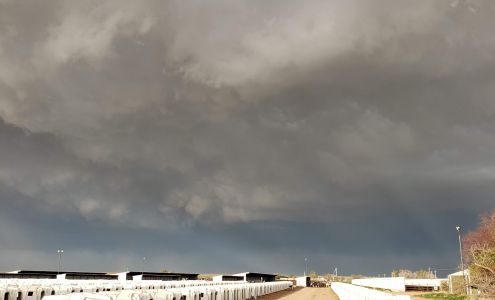 Longs Peak Dairy Pierce Pierce