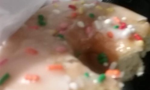 Twice Daily Winchester