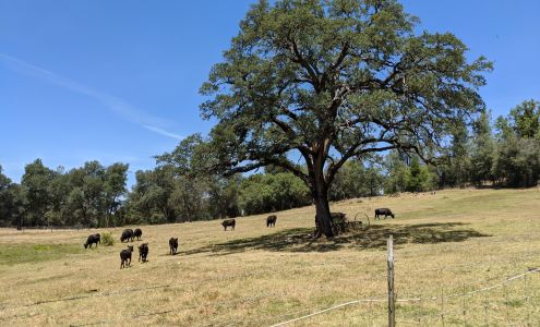 Oregon House Farms Oregon House