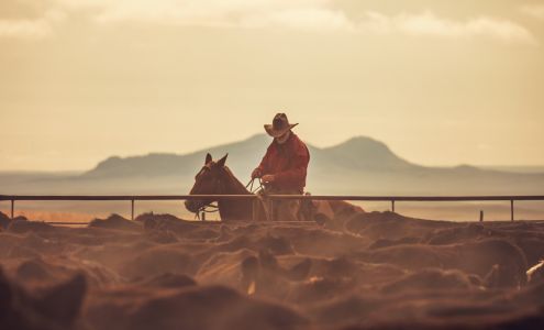 Mountain View Co-op Black Eagle C-Store Black Eagle
