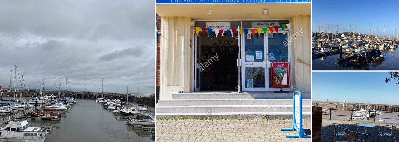 The Marina Cafe (and Curiosity Shop)