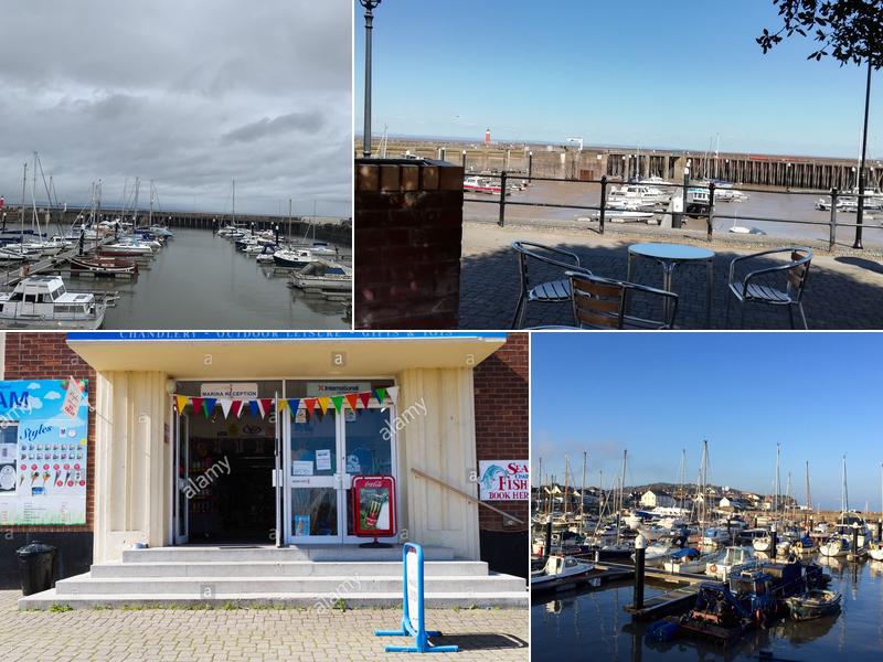 The Marina Cafe (and Curiosity Shop)