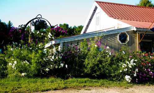 Stony Brook Recreation Hanover