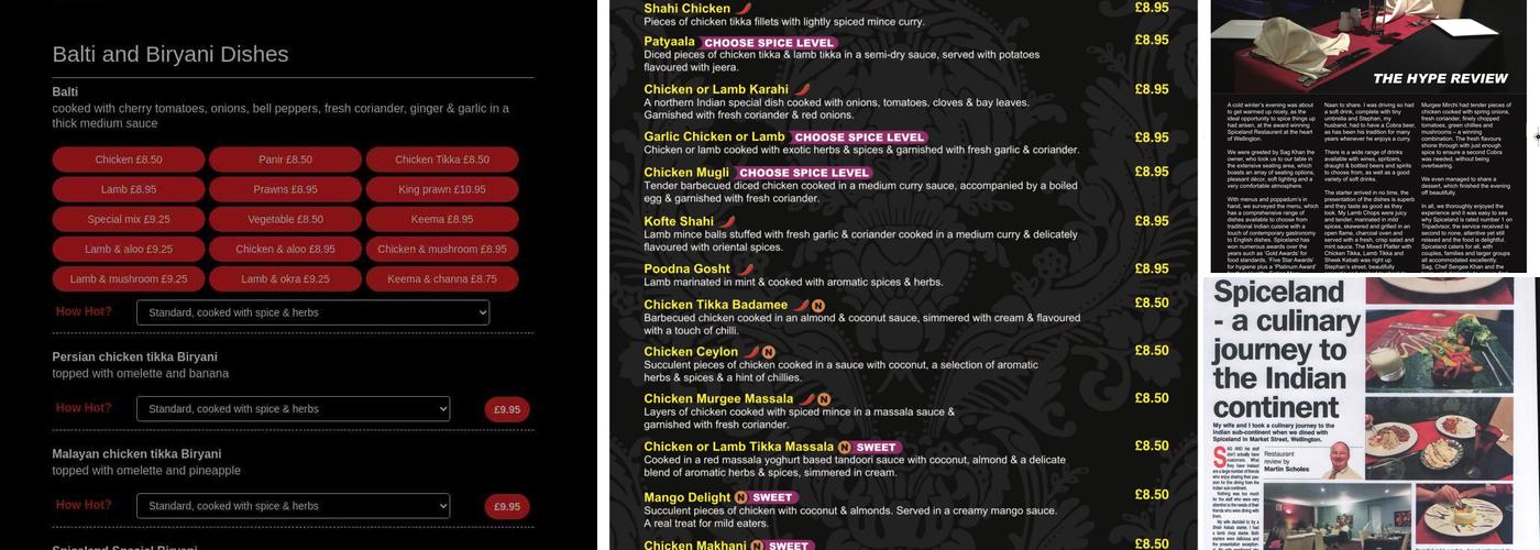 Spiceland Indian Restaurant Menu