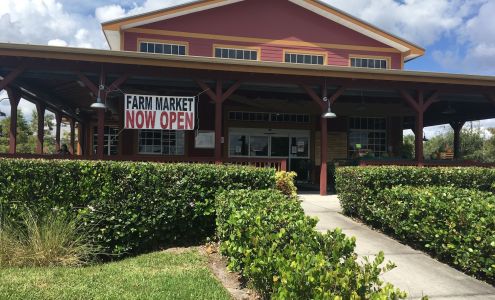 Sunflower Discount Grocery Liquidation Outlet