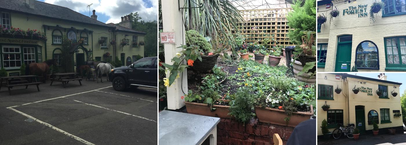 New Forest Inn Lyndhurst