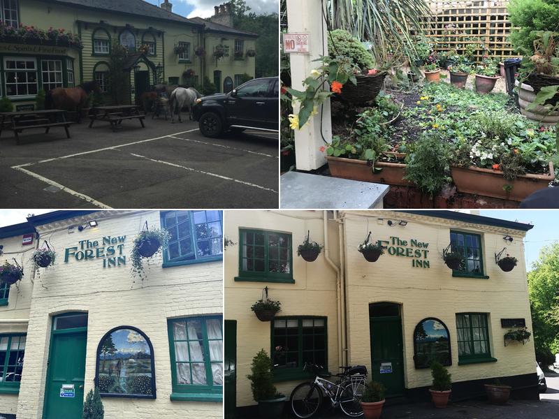 New Forest Inn Lyndhurst