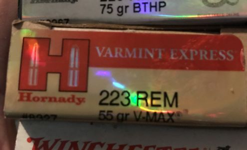 Hector Pharmacy Hector