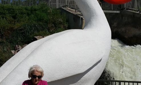 Abarrotes Mejia Inc Pelican Rapids